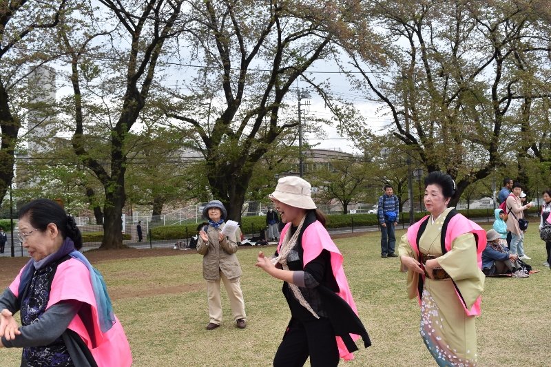 DSC_0159 (800x533)