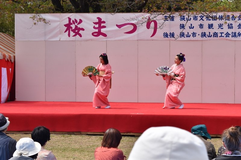 DSC_0265 (800x533)