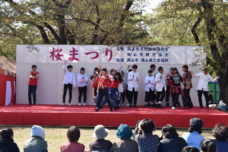 DSC_0342 (800x533)