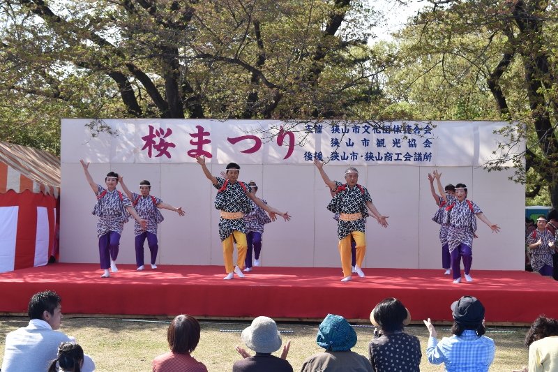 DSC_0360 (800x533)