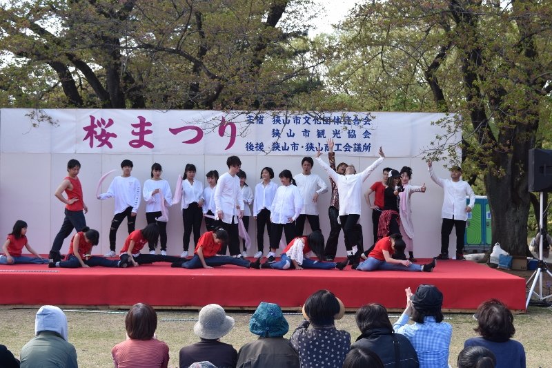DSC_0347 (800x533)