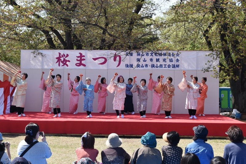 DSC_0312 (800x533)