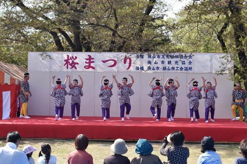 DSC_0354 (800x533)