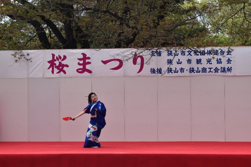 DSC_0085 (800x533)