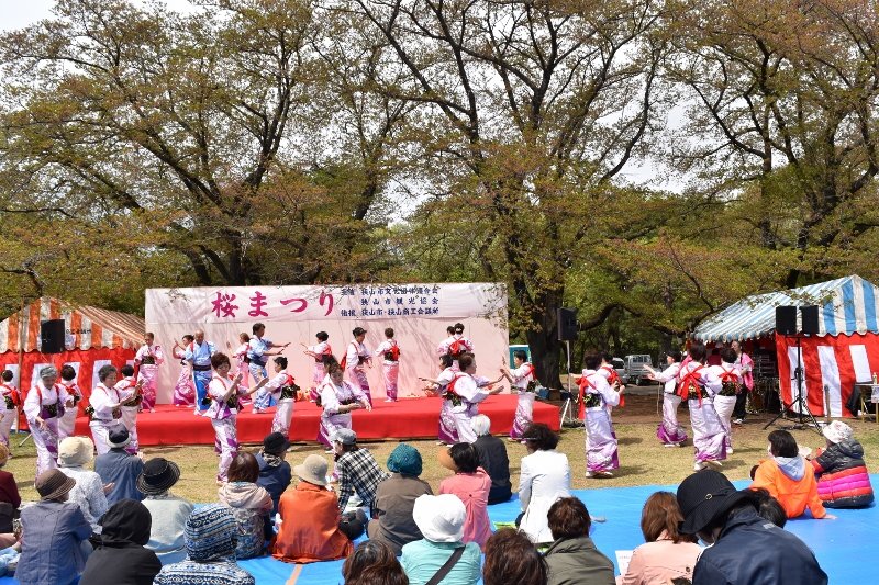 DSC_0206 (800x533)