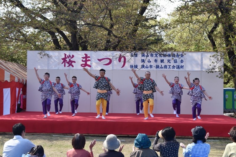 DSC_0364 (800x533)
