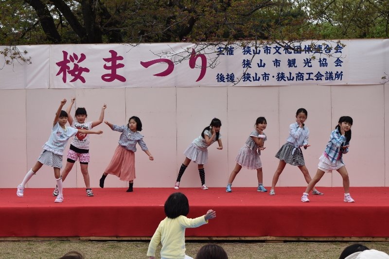 DSC_0110 (800x533)