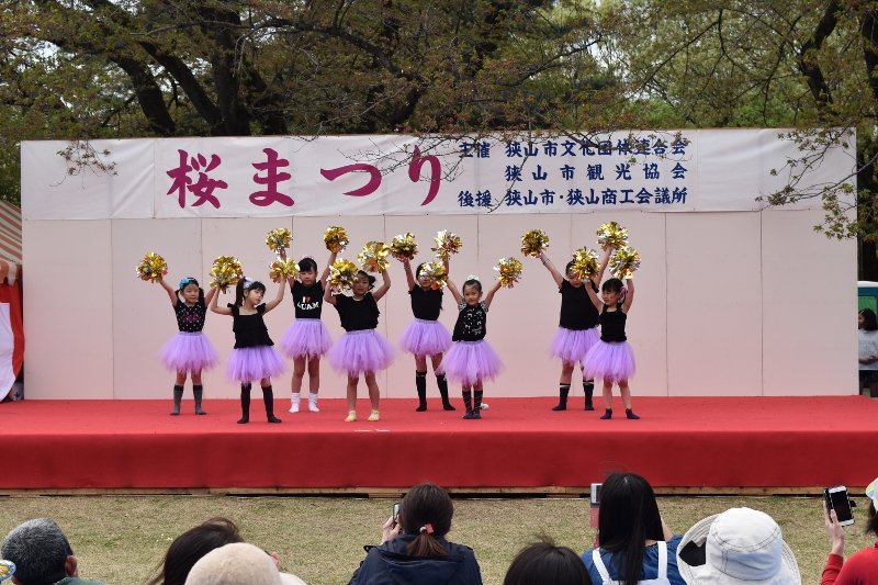 DSC_0117 (800x533)