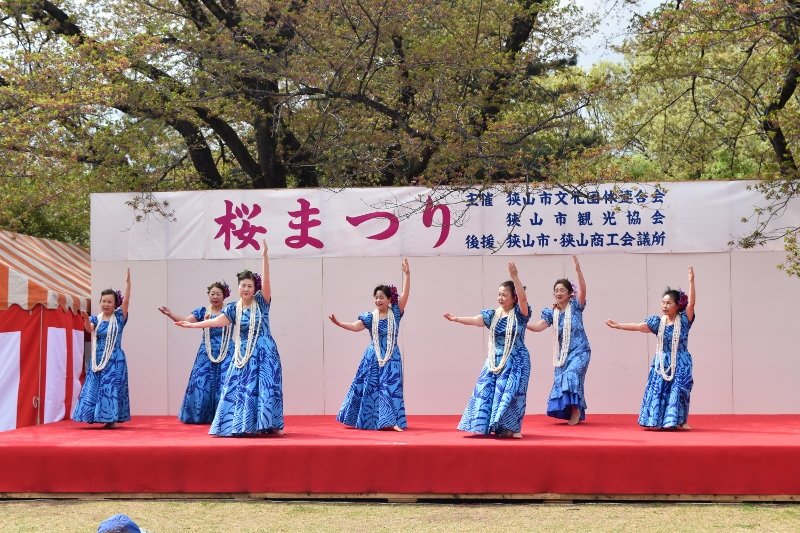 DSC_0069 (800x533)