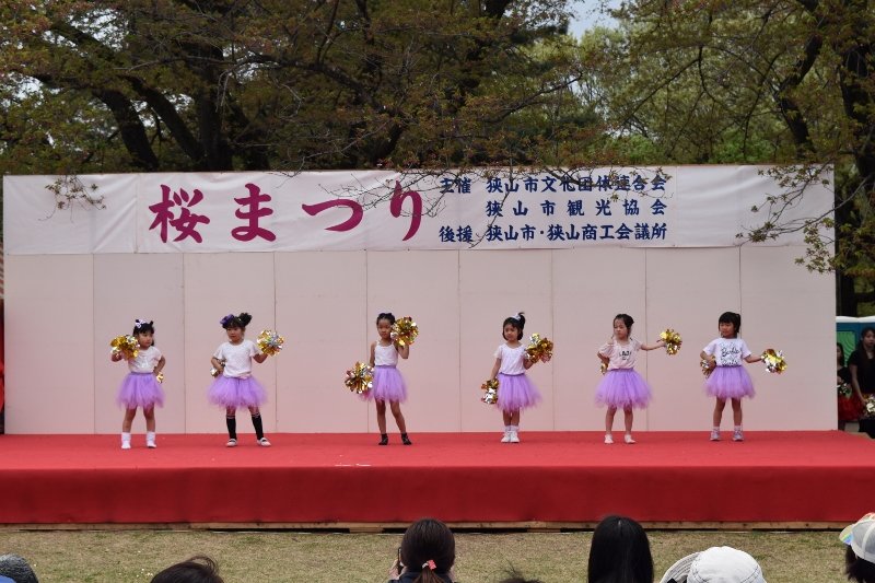 DSC_0123 (800x533)