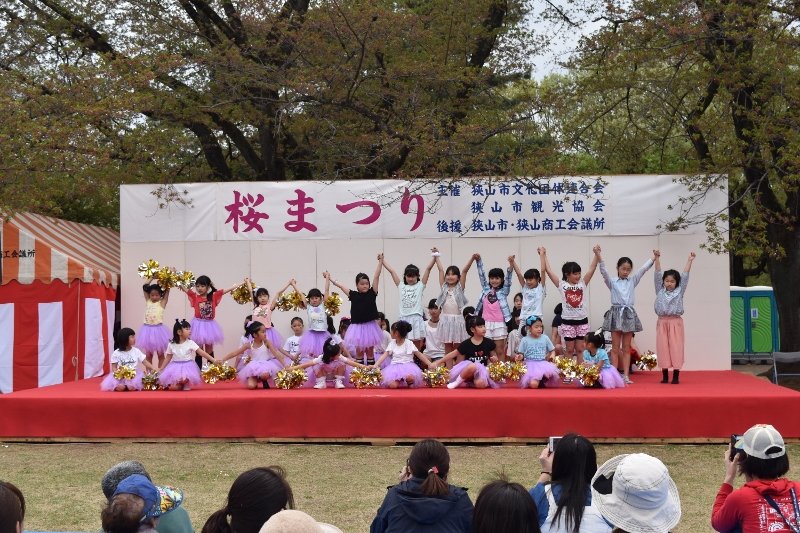 DSC_0133 (800x533)