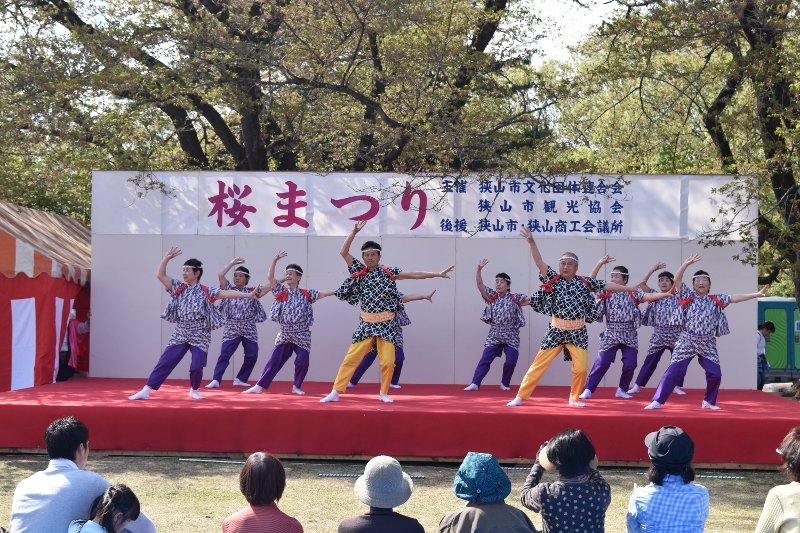 DSC_0363 (800x533)