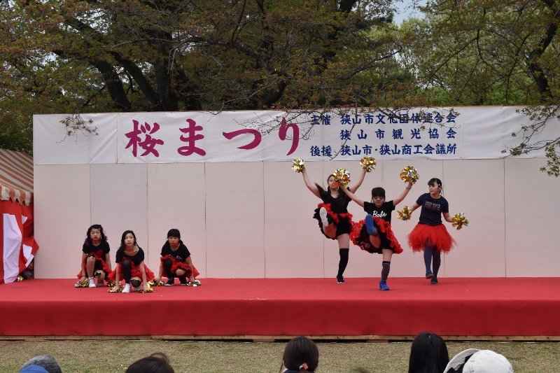 DSC_0130 (800x533)