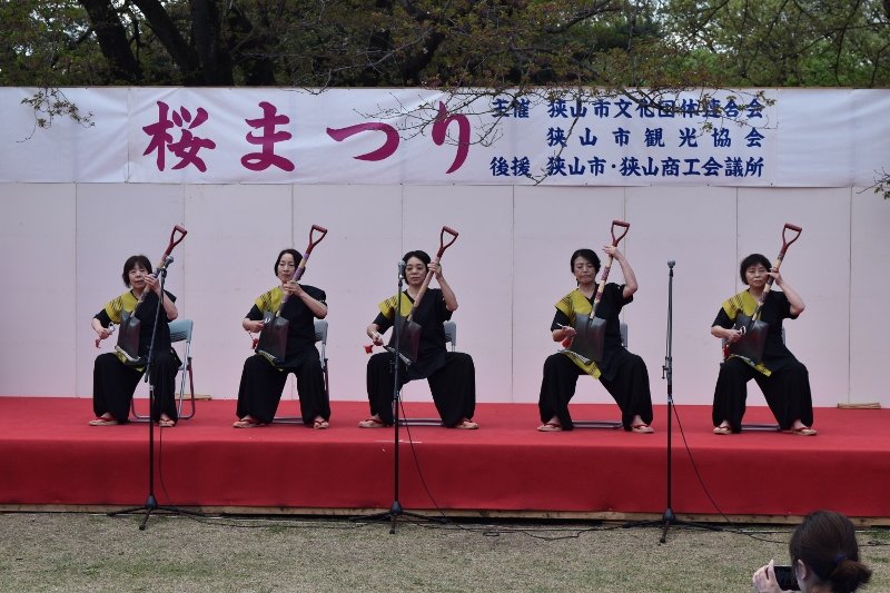 DSC_0412 (800x533)