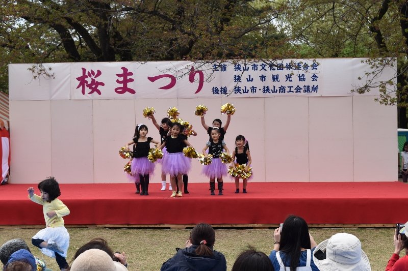 DSC_0115 (800x533)
