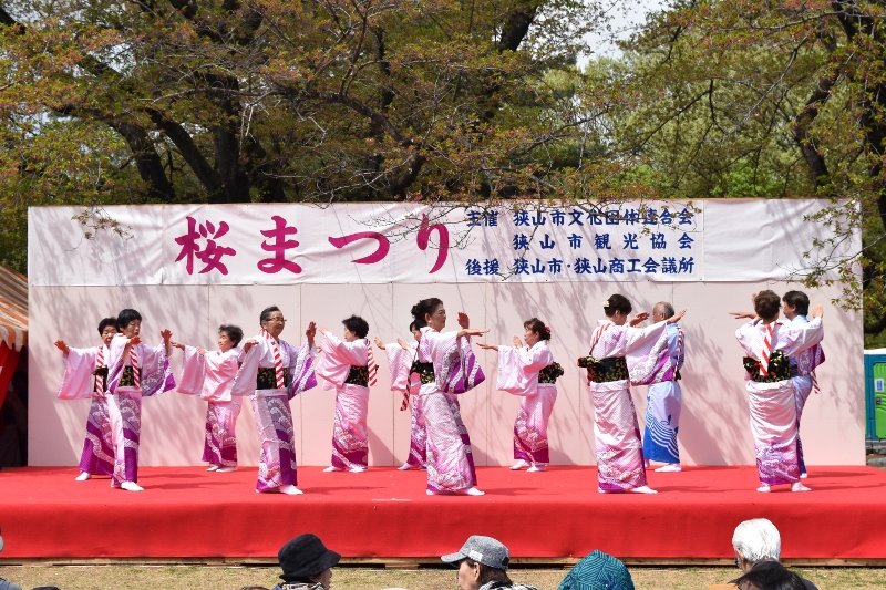 DSC_0194 (800x533)
