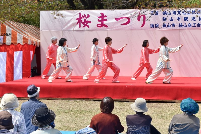DSC_0234 (800x533)