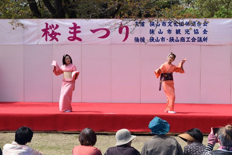 DSC_0254 (800x533)
