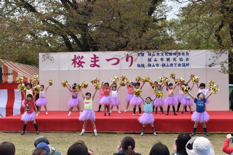 DSC_0098 (800x533)