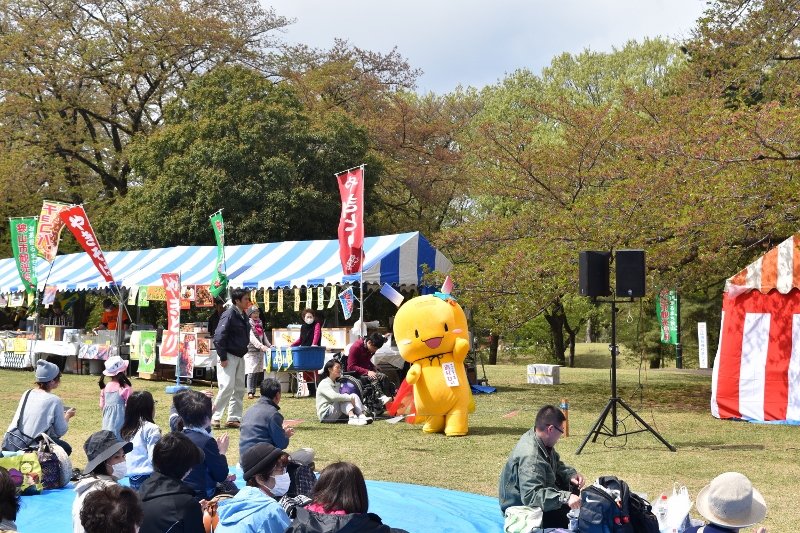 DSC_0169 (800x533)