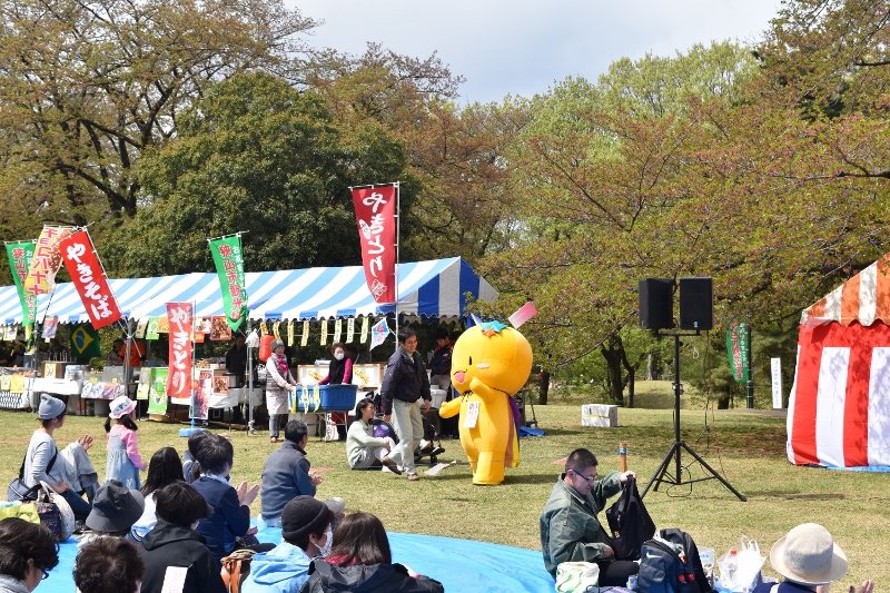 DSC_0168 (800x533)