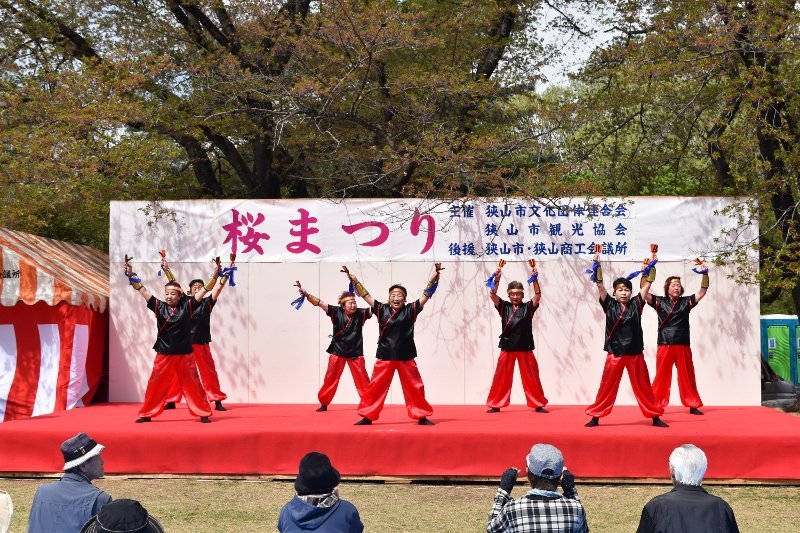 DSC_0172 (800x533)