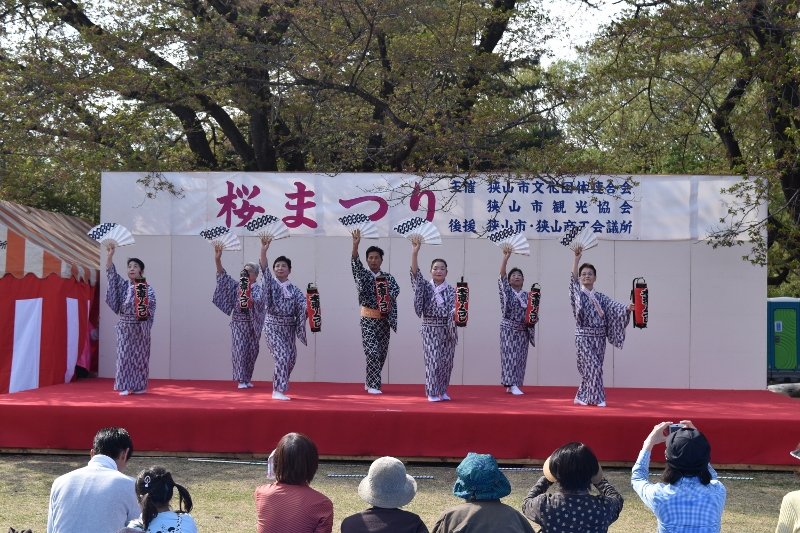 DSC_0367 (800x533)