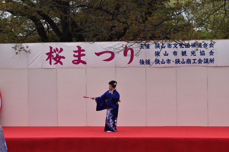 DSC_0086 (800x533)