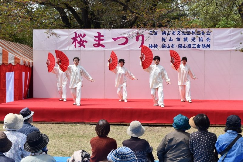 DSC_0245 (800x533)