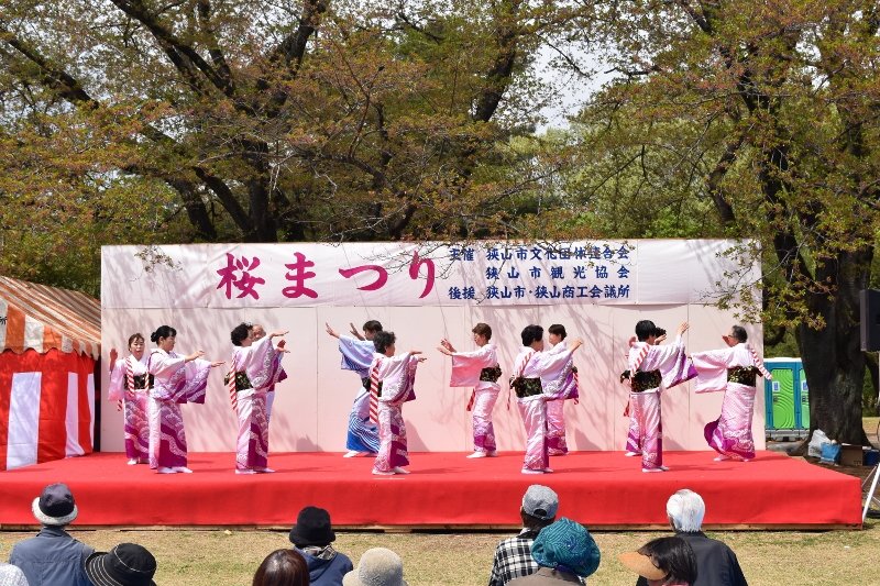 DSC_0190 (800x533)