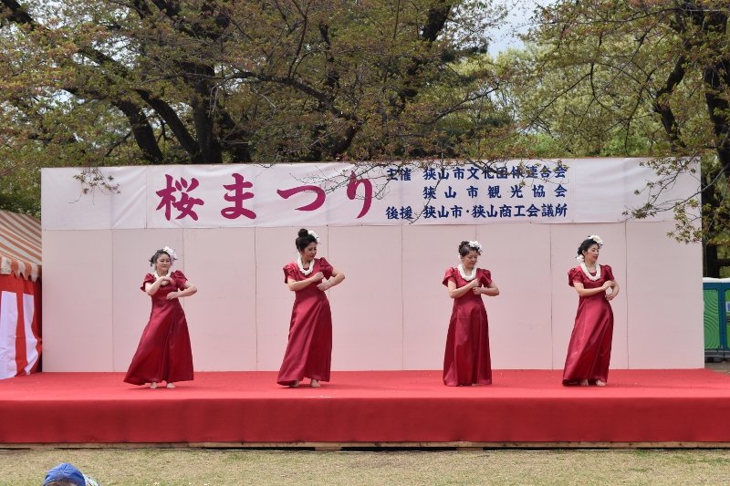 DSC_0079 (800x533)