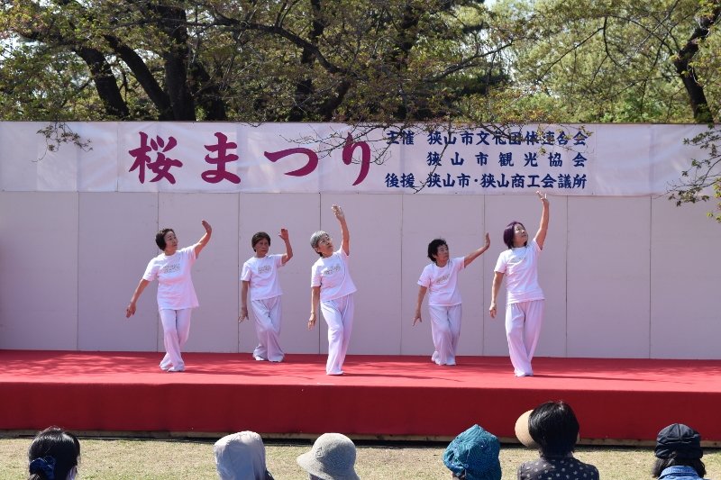 DSC_0306 (800x533)