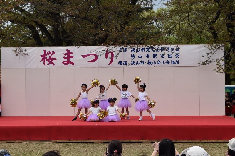 DSC_0127 (800x533)