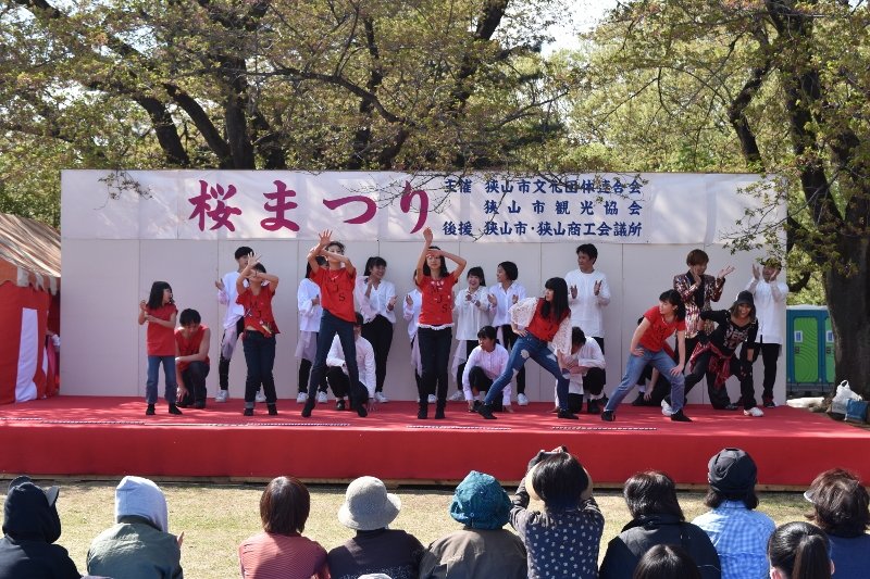 DSC_0339 (800x533)
