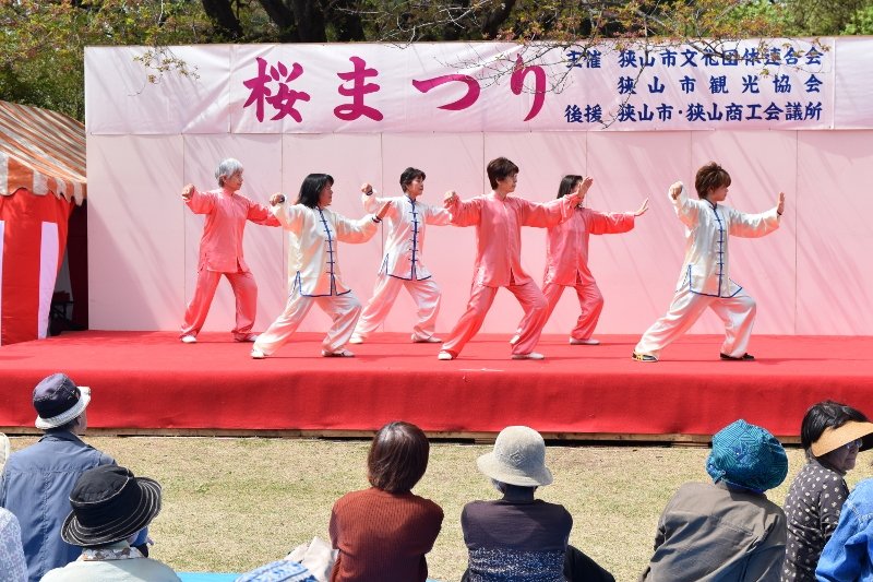 DSC_0237 (800x533)