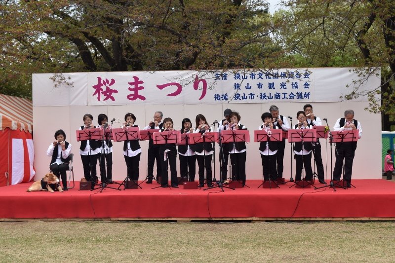 DSC_0139 (800x533)