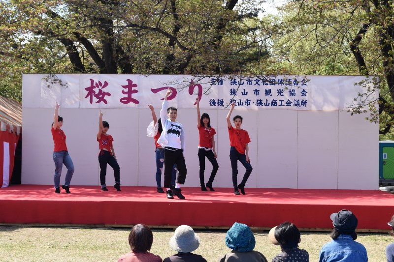 DSC_0319 (800x533)