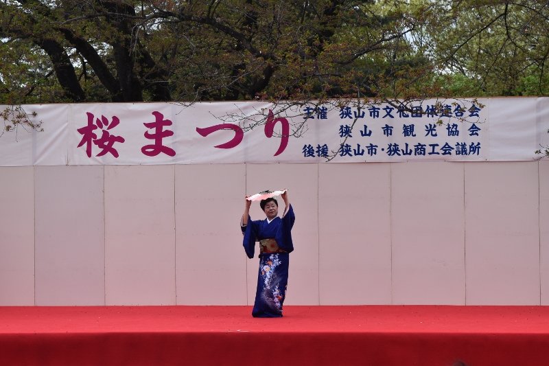 DSC_0088 (800x533)