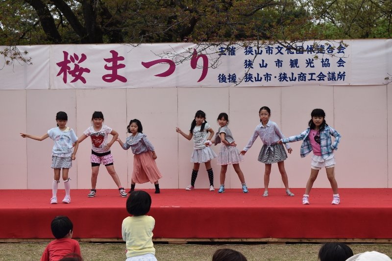 DSC_0109 (800x533)
