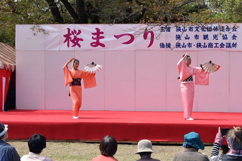 DSC_0257 (800x533)