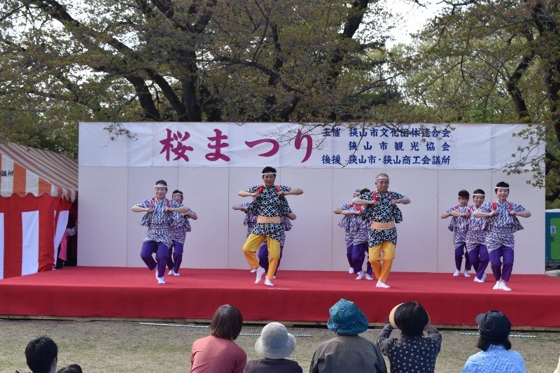DSC_0370 (800x533)