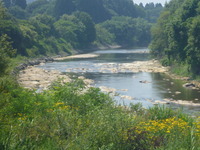 P1020481