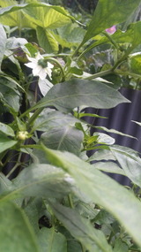 39f870ea.jpg