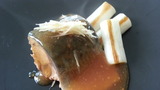 7b11302e.jpg