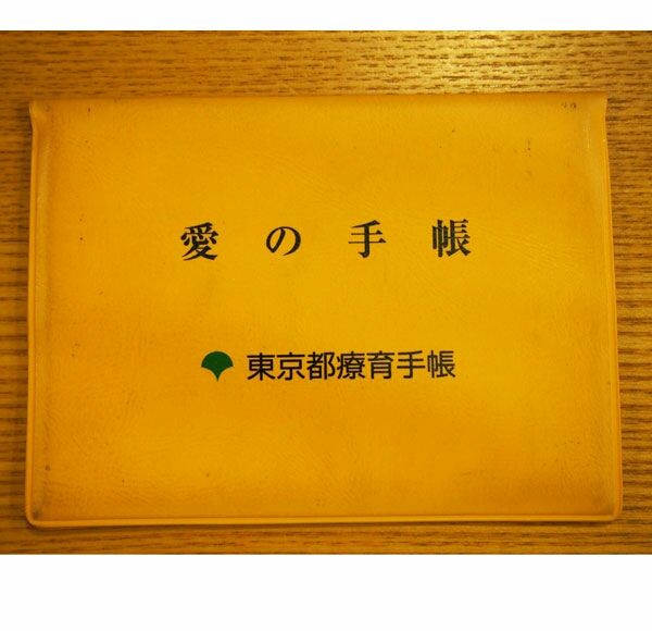 知的障害者では無いけど 発達障害者が東京都の愛の手帳 療育手帳 を取る裏ワザ 桜井のブログ 知的障害者では無いけど 発達障害者が東京都の愛の手帳 療育手帳 を取る裏ワザ 桜井のブログ