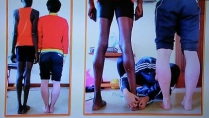 o0800045013494271967