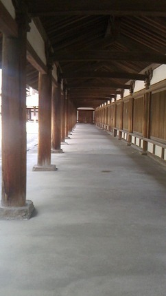 o0480085414783219491