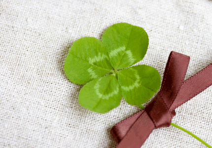 7359b21746a831baf2343828deda8ea6