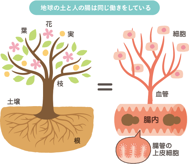土＝人 〜人は土でできている : コンディショニングトレーナー小林さくらのブログ〜エッセンシャルトーク〜
