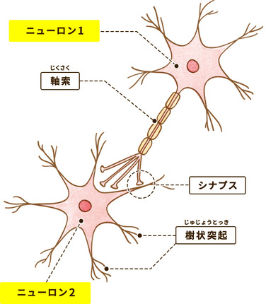 advice_images02_01_sp